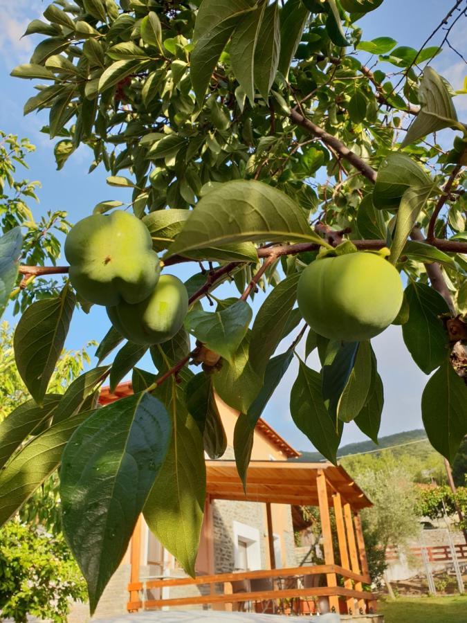 Mavridis House Villa Eleftheroupoli Dış mekan fotoğraf