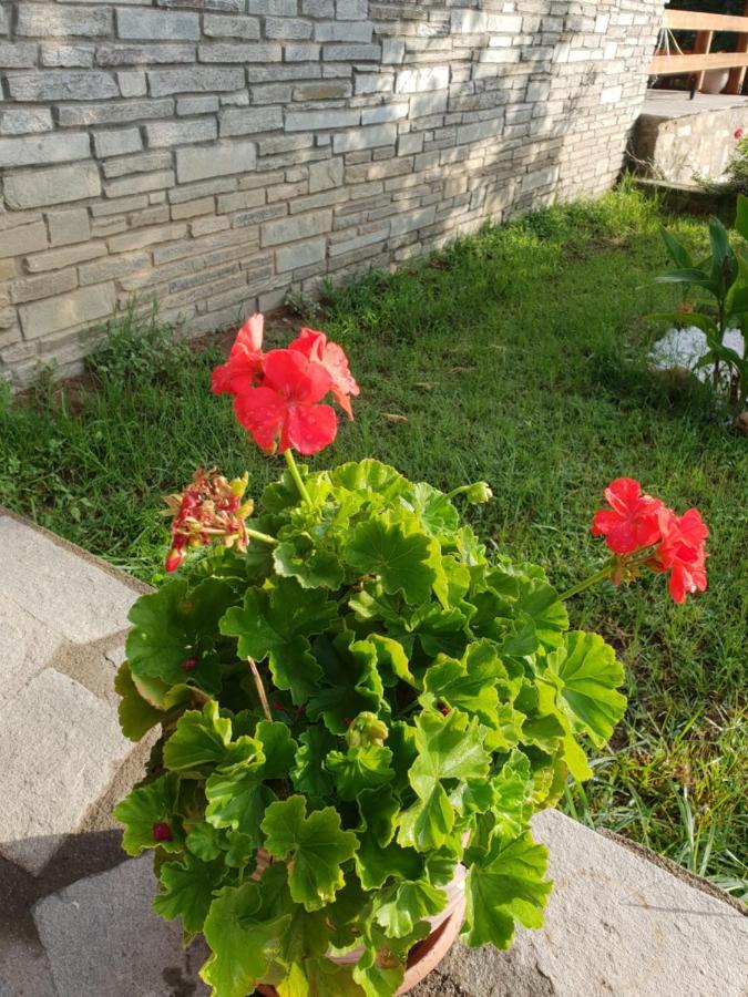 Mavridis House Villa Eleftheroupoli Dış mekan fotoğraf